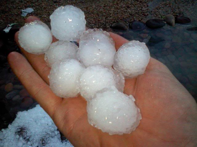 Hail, NO! And Other Natural Disasters