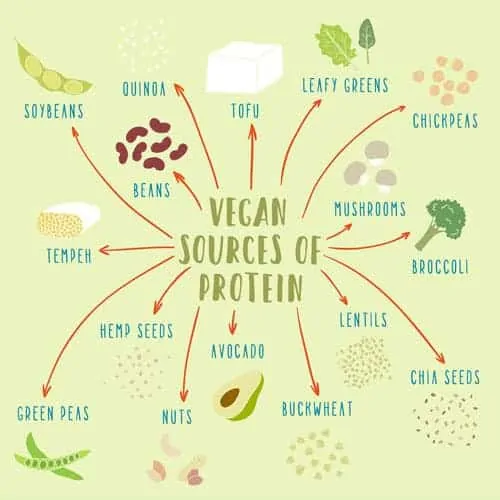 vegetarian sources of protein