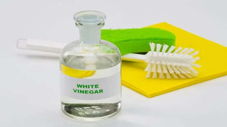 white vinegar