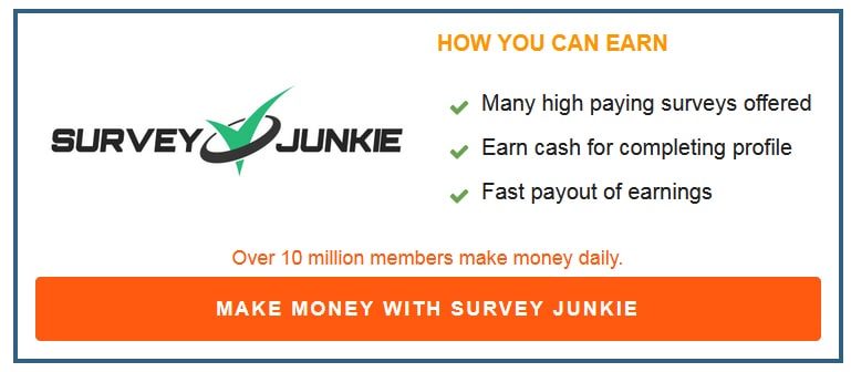 Survey-Junkie-Box